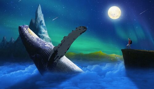 Ge00a0adad3c6b062fdb2ebebb77eae34b6544ed92ba663aa387e3891219f8e3ee9514c558939049bc67870b032625f6bbc12d2baf51850ac9cc88b64fb4708fd 640