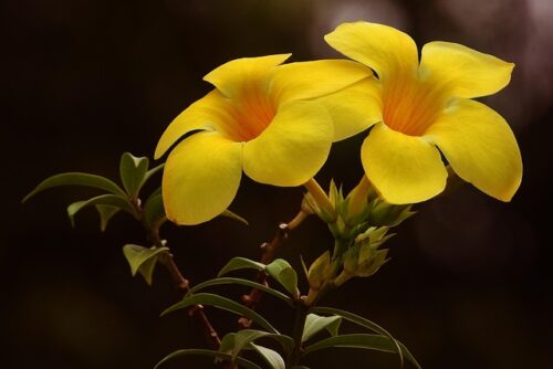 Image bedbreakfastaccommodation.co.uk 2112 1745982328649